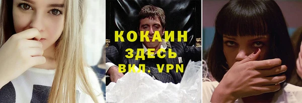 дживик Белокуриха