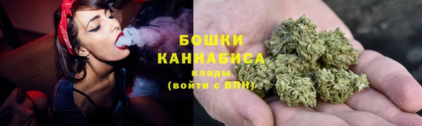 дживик Белокуриха