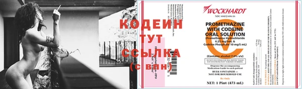 дживик Белокуриха