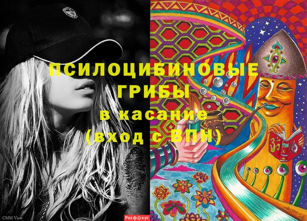 стаф Беломорск