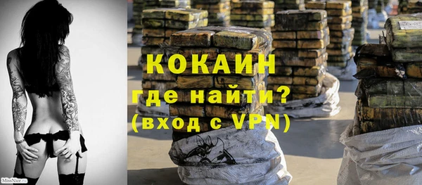 дживик Белокуриха