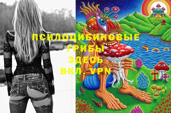 дживик Белокуриха