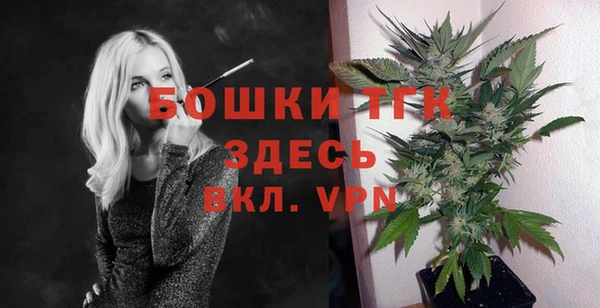 дживик Белокуриха