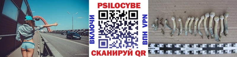 ссылка на мегу ссылки  закладка  Малмыж  Псилоцибиновые грибы мухоморы 